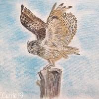 Eagle Owl - Original Mixed Media Painting on Canvas 18&rdquo; x 14&rdquo; mounted ready to frame