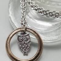 Owl Pendants Necklaces ~ Tennessee Coin