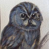 Owl painting original watercolour  bird painting  original art 5 x 7