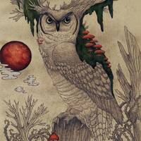 Owl art print, owl drawing, owl illustration, owl art, owl decor, owl wall art, cottage decor, bird 