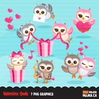 Valentine Owls Clipart. Valentine's Day animal illustration, cupid, pink hearts, love, ribbon, b