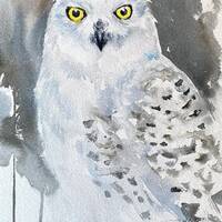 Snowy Owl Original Watercolor Painting Wall Art 9x12