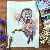 Great grey owl ORIGINAL watercolour painting 7.5x11 inches,Hand paint by Yui Chatkamol, watercolor,o