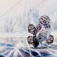 Owls On Ice Backdrop Background / Digital Background / Fantasy Backdrop / Magical Download / Instant