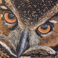 Eagle Owl Acrylic Painting: Realistic Fine Feather Art on Canvas