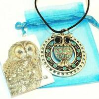 Turquoise Jeweled Owl Pendant Necklace - Adjustable Cord