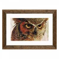 Eagle Owl Cross Stitch Kit: Bird Needlework, Modern Embroidery