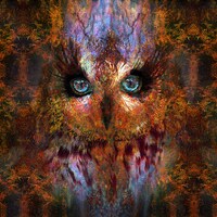 Spirit owl, Psychedelic art, Visionary art, Owl, Spirit animal, Fractal art, Vision, Dream State, Lu