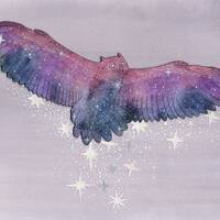 Owl Constellation print