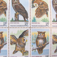 American Owls Full Sheet of 50 UNused US Postage Stamps 15c Barred Owl Great Horned Owl Great Gray S