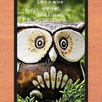 Wise Owl Cell Phone Wallpaper Lock Screen