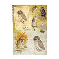 2 Sheets Italy Rice Paper Decoupage Owls Collage RCP-AN-133 x2