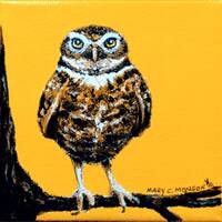 Burrowing Owl - 4x4 Original - Hand painted - Signed - FREE Shipping