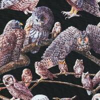 Owl Fabric, owls of North america, quilting fabric,  Price by the Half Metre