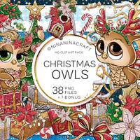 Cute Christmas Owls Clip Art pack, Xmas Clipart, Glitter Planner Stickers, Flowers, Presents, Candy 