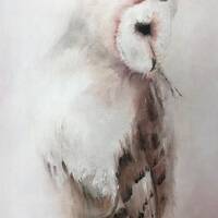 Owl card, owl art card, wildlife greetings card, bird art card