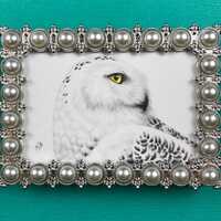 Snowy owl itty bitty colored pencil drawing in silver and white pearl frame