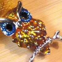 B-24 Very Lovely Adorable Cute Fun OWL BROOCH Pin Magnificent Colors & HUGE Blue Eyes! Very Deta