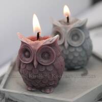 Kawaii owl candle mold nighthawk candle silicone molds for candle making candle craft mold soap mold