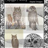 Vintage Owls Collection - Set of 4