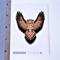First Nations ''Owl'' Sticker Decal Native Westcoast Indigenous Art