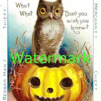 Vintage Halloween Clapsaddle Fortune Telling Owl, Digital Download