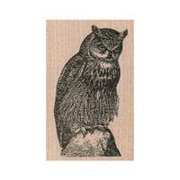 Horned Owl RUBBER STAMP, Nature Stamp, Bird Stamp, Outdoor Stamp, Aves Stamp, Owl Stamp, Owl Lover G
