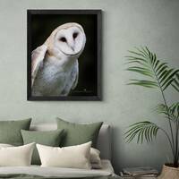 Barn Owl Photograph Print Photo Gift Fine Art Wall Print Giclee Metal Acrylic Lustre Living Room Nur