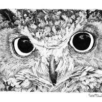Owl Pen and Ink Drawing Black and White Stippling art prints by Kaitlin McCloud
