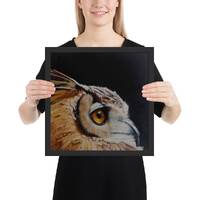 Eagle Owl Bird Framed Print