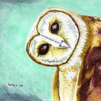 Owl - Watercolor painting - print or sticker