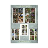 Woodland Owls and Butterflies Embellishment Collection (Digital Download)