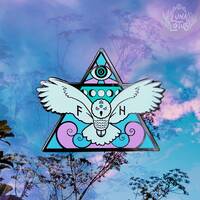 Owl Hard Enamel Pin - Glow in the Dark Lapel Pin - Third Eye Magic Brooch - Bird of Prey Pin - Moon 