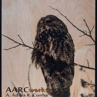 Mr. Who (3/10) - Nature Wildlife Owl Photography Transfer on Wood Board - Rustic Country Farmhouse D