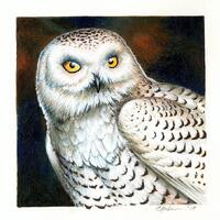 PRINT 'Snowy Owl'