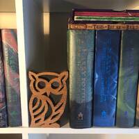 Bookshelf Owl