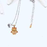 Charming Little Owl Necklace, Owl Necklace, Owl Charm, Heart Charm, Rhinestoned Owl,