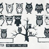 owl svg bundle, cute owl svg bundle, owl perched on tree, childish owl svg, owl character svg png dx