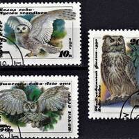 Russia 1990 Owl Postage Stamps Set – Scott #5871-3 (CTO)