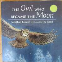 The Owl Became the Moon Children's Book
