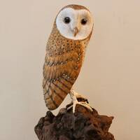 Carved Barn Owl Sculpture