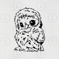 Owl svg - Owl vector graphics- Bird svg- Owl  drawing svg - Owl  svg for cricut -  Owl  illustration