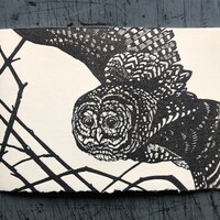 Spotted Owl Card
