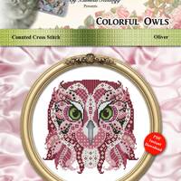 Cross Stitch Pattern Colorful Owls Series Oliver Pattern Instant Digital PDF Download by Pamela Kell