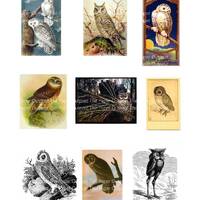 Vintage Owl Illustrations: Digital Ephemera Kit (Printable)