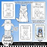 Woodland Animal Digis, Raccoon Digital Stamp, Wise Owl Digital Stamp, Coloring Pages, Hello Little O