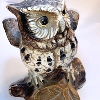 Cute wise old owl!