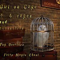 Pack with Owl on cage, png overlay , differens hanging cages (wood, cooper and gold) and other acces