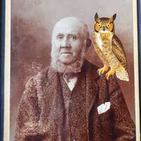 Antique Cabinet Card | Old Man with Owl, Framed Wall Art