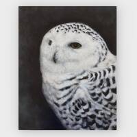 OWL OIL PAINTING / Snowy Owl Original Oil Painting / Bird Of Prey Painting / Animal Wall Art / Snowy
